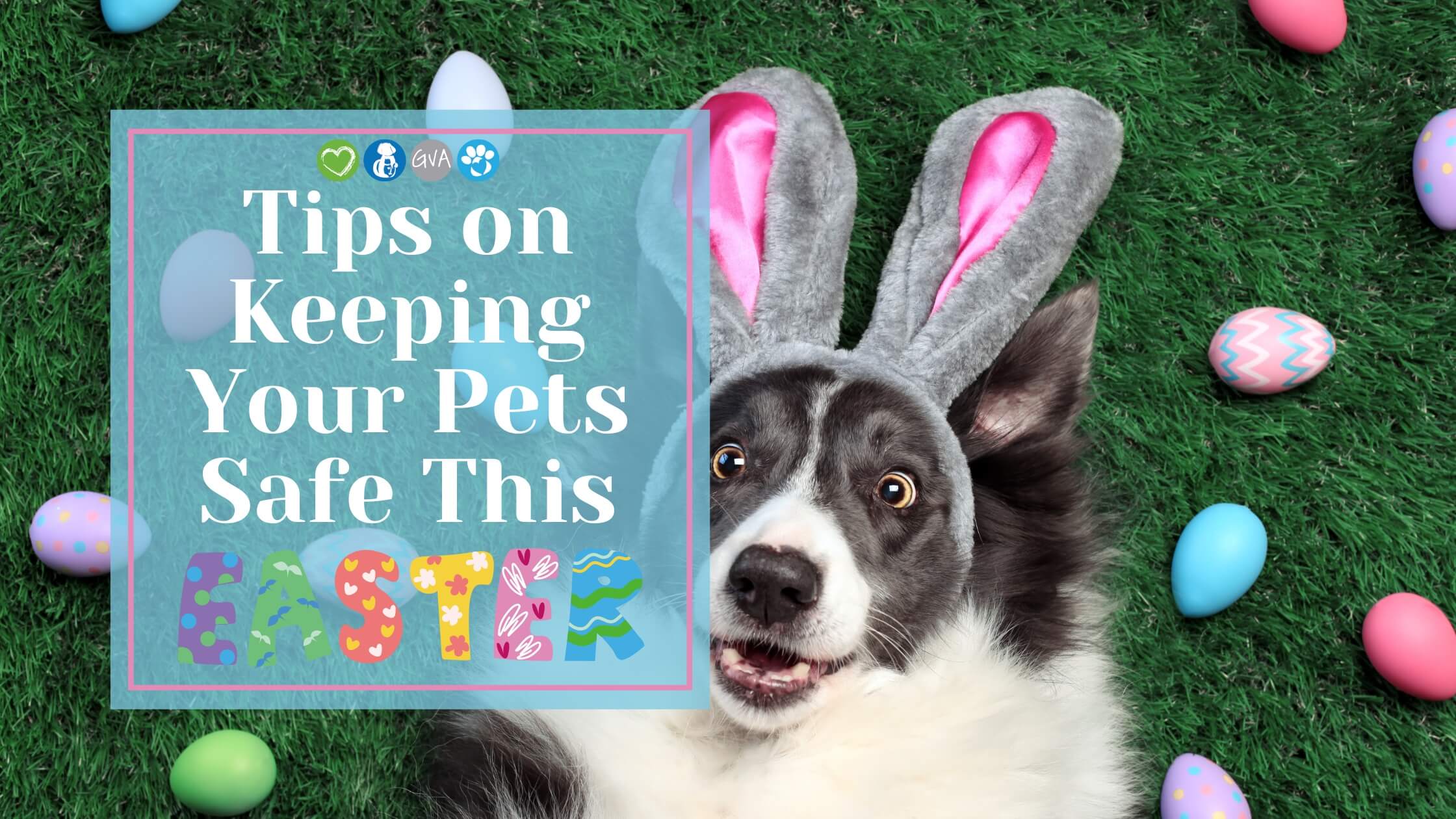Tips on Easter Pet Safety